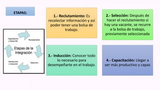 ETAPAS:
1.- Reclutamiento: Es
recolectar información y así
poder tener una bolsa de
trabajo.
2.- Selección: Después de
hacer el reclutamiento si
hay una vacante, se recurre
a la bolsa de trabajo,
previamente seleccionada
3.- Inducción: Conocer todo
lo necesario para
desempeñarte en el trabajo.
4.- Capacitación: Llegar a
ser más productivo y capaz
 
