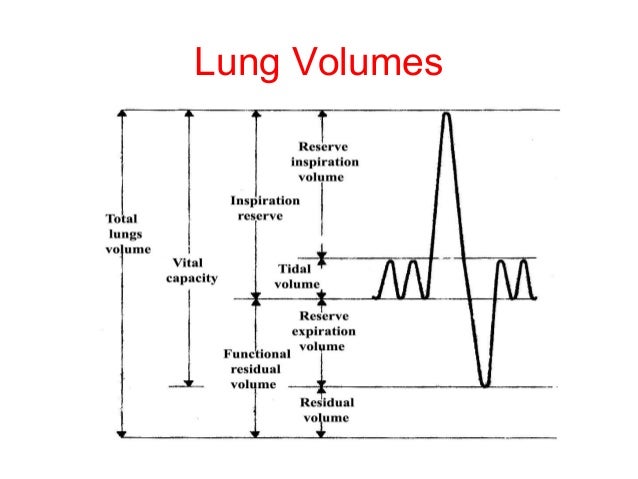 External Respiration