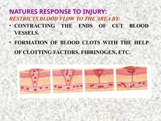 NATURES RESPONSE TO INJURY:
RESTRICTS BLOOD FLOW TO THE AREA BY:
• CONTRACTING THE ENDS OF CUT BLOOD
VESSELS.
• FORMATION OF BLOOD CLOTS WITH THE HELP
OF CLOTTING FACTORS, FIBRINOGEN, ETC.
 