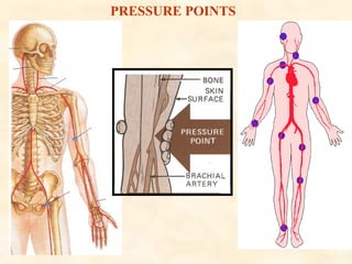 PRESSURE POINTS
 