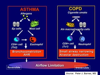 YYYY
YY
Mast cellMast cell
CD4+ cellCD4+ cell
(Th2)(Th2)
EosinophilEosinophil
AllergensAllergens
Ep cellsEp cells
ASTHMAASTHMA
BronchoconstrictionBronchoconstriction
AHRAHR
Alv macrophageAlv macrophageEp cellsEp cells
CD8+ cellCD8+ cell
(Tc1)(Tc1)
NeutrophilNeutrophil
Cigarette smokeCigarette smoke
Small airway narrowingSmall airway narrowing
Alveolar destructionAlveolar destruction
COPDCOPD
Reversible Irreversible
Airflow LimitationAirflow Limitation
Source: Peter J. Barnes, MD
 