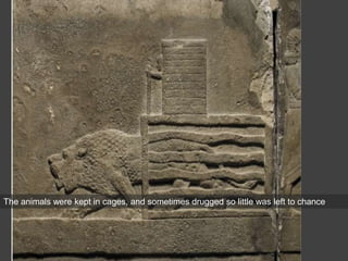 The animals were kept in cages, and sometimes drugged so little was left to chance
 