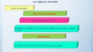23
Otros criterios de divisibilidad
Criterio de divisibilidad por 125
Un número es divisible por 125, si sus tres últimas cifras son ceros o múltiplo
de 125.
Un número primo sólo tiene dos divisores: él mismo y la unidad.
Números primos
Los números naturales
Criterios de divisibilidad
 