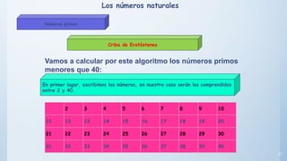 27
En primer lugar, escribimos los números, en nuestro caso serán los comprendidos
entre 2 y 40.
Criba de Eratóstenes
Vamos a calcular por este algoritmo los números primos
menores que 40:
2 3 4 5 6 7 8 9 10
11 12 13 14 15 16 17 18 19 20
21 22 23 24 25 26 27 28 29 30
31 32 33 34 35 36 37 38 39 40
Los números naturales
Números primos
 
