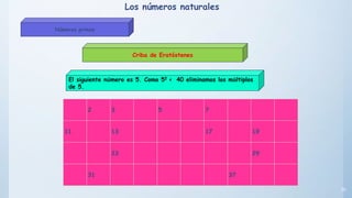 30
El siguiente número es 5. Como 52 < 40 eliminamos los múltiplos
de 5.
Criba de Eratóstenes
2 3 5 7
11 13 17 19
23 29
31 37
Los números naturales
Números primos
 