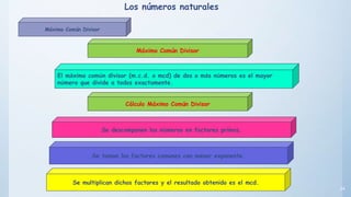 34
El máximo común divisor (m.c.d. o mcd) de dos o más números es el mayor
número que divide a todos exactamente.
Se descomponen los números en factores primos.
Máximo Común Divisor
Se toman los factores comunes con menor exponente.
Se multiplican dichos factores y el resultado obtenido es el mcd.
Cálculo Máximo Común Divisor
Máximo Común Divisor
Los números naturales
 