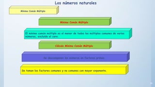 39
El mínimo común múltiplo es el menor de todos los múltiplos comunes de varios
números, excluido el cero.
Mínimo Común Múltiplo
Se descomponen los números en factores primos.
Se toman los factores comunes y no comunes con mayor exponente.
Cálculo Mínimo Común Múltiplo
Los números naturales
Mínimo Común Múltiplo
 