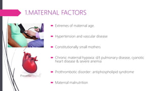 1.MATERNAL FACTORS
 Extremes of maternal age.
 Hypertension and vascular disease
 Constitutionally small mothers
 Chronic maternal hypoxia: d/t pulmonary disease, cyanotic
heart disease & severe anemia
 Prothrombotic disorder: antiphospholipid syndrome
 Maternal malnutrition
 