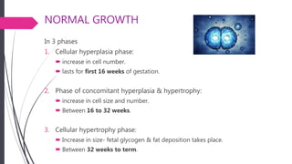 NORMAL GROWTH
In 3 phases
1. Cellular hyperplasia phase:
 increase in cell number.
 lasts for first 16 weeks of gestation.
2. Phase of concomitant hyperplasia & hypertrophy:
 increase in cell size and number.
 Between 16 to 32 weeks.
3. Cellular hypertrophy phase:
 Increase in size- fetal glycogen & fat deposition takes place.
 Between 32 weeks to term.
 