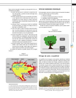 23
ABRIL-JUNIO2015Visióncriminológica-criminalística
Tipos de incendios forestales
Es fundamental conocer los diversos tipos de incendios forestales,
ya que en primero lugar con ello se podría:
1.	 Sofocar el incendio.
2.	 Conocer el material para sofocar el incendio.
3.	 Establecer líneas de investigación.
En muchas ocasiones, se llegan a perder vidas humanas, ello
debido a que no se pudo detectar el tipo de incendio que se presentó
en una zona forestal, su importancia es necesaria, ya que con ello se
puede sofocar el incendio de manera segura y eficiente.
Existen tres tipos de incendios forestales, que se pueden obser-
var en el esquema número 9.
Esquema 9
Tipos de incendios forestales
El fuego de suelo, o superficial
La superficie de los bosques se encuentran cubiertos por material
orgánico, como lo son hierbas, matorrales, hojarasca, madera, entre
otros, y al estar en contacto con el fuego, se genera un incendio su-
perficial, que no llega a grandes proporciones, y por ende las llamas
no alcanzan una gran altura, el grado de afectación a los árboles es
bajo pero significativo. La presencia del fuego se llega a considerar
por la falta de humedad y altas temperaturas (condiciones ambienta-
les), que se presentan por temporadas, factores que propician que el
área forestal y su vegetación amarillenta, se prenda fácilmente. Este
fenómeno se puede apreciar en la fotografía número 2.
base a ello se requiere de realizar una descripción de las ca-
racterísticas principales.
El borde. Esta zona que en se llamará A, presenta las lla-
mas más grandes, y permite el avance del fuego hacia
cualquier dirección.
El frente. Llamada Zona B, que se encuentra en el borde,
y que requiere de las condiciones del viento para su
propagación de manera rápida, las llamas ascienden
y toman gran altura, produciendo de igual manera una
alta temperatura.
Los flancos. Zona C, en esta área el viento se manifiesta
en dirección lateral, y su efecto en el fuego es lento, al
igual que su intensidad y calor.
La cola. Es la zona D, esta es la parte inicial del incendio,
aquí se puede presentar una disminución de las lla-
mas, ya que se encuentra en contraste con la dirección
del viento dominante, en caso de presentarse.
Los focos secundarios. Es la zona E, esta área es más
intensa, debido a su propagación, que se ha producido
por una convección, “al incendiarse debido a que sobre
esa zona han caído restos incandescentes, cenizas sin
apagarse o restos vegetales incendiados y proyecta-
dos hacia fuera por las corrientes de aire”41
.
Los dedos o lenguas. Zona F, dicha área se determina así,
debido a que existen partes que son tomadas de ma-
nera brusca por el fuego, dando origen a las lenguas o
dedos, dando a los flancos una forma irregular.
Las partes del incendio se pueden observar en la imagen
número 7.
Imagen 7
Partes del incendio
41
Curso de formación on-line para la sensibilización y educación am-
biental orientado hacia la prevención de incendios forestales. ’10.6. Par-
tes de un incendio’. [En línea]. [Consultado: 05 de septiembre de 2012].
Disponible en la web: http://www.fuciclm.org/cursoprevencionincendio
sforestales/10incendiomonte.html
Humo
Frente
Dedo o lengua
Viento
BordeFlanco izquierdo
Focos
secundarios
Dedo o lengua
Entrante o bolsa
Borde
Flanco derecho
Cola
Copas
Suelo
Subsuelo
Fotografía número 2. Fotografía proporcionada por el Centro Estatal
de Prevención y Combate de Incendios Forestales. Tochimilco Tianguis-
manalco, Puebla. Obsérvese fuego de suelo.
 