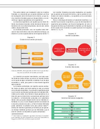 25
ABRIL-JUNIO2015Visióncriminológica-criminalística
Los incendios forestales provocados negligentes, son aquellos
que se generan por descuido del hombre, y que no pueden ser con-
trolados de manera inmediata, y se expanden por las condiciones
favorables del viento.
Para el criminólogo-criminalista es fundamental identificar si un
incendio fue provocado o espontáneo, ya que de ello dependen los
argumentos para establecer una línea de investigación, así como la
búsqueda de indicios que fundamenten la hipótesis, por ello algunas
de las causas de los incendios se pueden apreciar en el esquema
número 12, 13 y 14.
Esquema 12
Incendios accidentales
Esquema 13
Incendios intencionales
Esquema 14
Incendios intencionados negligentes
Para poder elaborar una investigación sobre los incendios
forestales, es conveniente que se pueda establecer una línea
de investigación sobre la formación de los mismos, ya que mu-
chos incendios forestales pasan por desapercibidos y se con-
vierten por algunos especialistas como espontáneos.
Los incendios espontáneos, son aquellos que se inician me-
diante circunstancias naturales, donde intervienen factores am-
bientales como lo son altas temperaturas, olas de calor, vientos
cálidos, sequías entre otros.
Los incendios provocados, van a ser aquellos donde inter-
viene la mano del hombre a inducir los elementos del fuego y se
dividen en 3, como se puede observar en el esquema número 11.
Esquema 11
División de los incendios provocados
Los incendios provocados intencionados, son todos aque-
llos donde de manera dolosa, se provoca un incendio forestal,
con la ayuda de algún combustible o mediante el uso de algún
encendedor o cerillo, para quemar el área forestal siguiendo
algún propósito.
Los incendios accidentales, son aquellos sucesos eventua-
les, donde sin aplicar una fuente externa de calor, se propicia
una combustión espontánea, “la combustión espontánea puede
ocurrir cuando se almacenan grandes pilas de materiales infla-
mables (como carbón, heno húmedo o trapos grasientos) en un
área en la que no circula el aire. Las reacciones químicas (como
la oxidación o la fermentación) producidas en el apilamiento
liberan calor que queda atrapado dentro de los materiales in-
flamables. A su vez, el calor atrapado aumenta la velocidad de
la reacción productora de calor, y al final el material inflamable
puede calentarse lo suficiente como para producir llamas”43
,
este tipo de incendio es generado por hombres que por ignoran-
cia manejan materiales químicos que son inflamables y que al
estar en contacto o al mezclarlos se puede combustionar.
43
Todo bomberos ‘Combustión espontánea’. [En línea]. [Consultado:
05 de septiembre de 2012]. Disponible en la web: http://todobomberos.
blogspot.mx/2009/03/la-combustion-espontanea.html
Incendio
Provocado
Negligente
Accidental
Intencional
Colectivo ARCION, 26 de septiembre de 2012. Como se puede obser-
var, existe una división de incendios provocados.
Incendios
Accidentales
Ignorancia sobre la
mezcla de
productos químicos.
Almacenamiento de
materiales inflama-
bles
Peleas
Para causar
daño físico
Para causar
daño patrimonial
Disputas de
terreno
Incendios
Intencionales
 