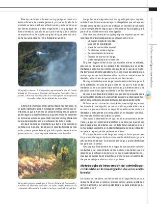 27
ABRIL-JUNIO2015Visióncriminológica-criminalística
Luego de que el fuego este controlado y extinguido por completo,
se deberá confirmar nuevamente por los brigadistas que se haya ter-
minado por completo y que no se produzca un incendio de subsuelo
y estar completamente seguro que la temperatura haya bajado, para
poder ahora si intervenir en la investigación.
Una vez estado fuera de cualquier peligro se requiere que se rea-
licen las primeras investigaciones en el lugar como lo es:
•	 Ubicación exacta del incendio.
•	 Situación de la población.
•	 Masa del combustible forestal.
•	 Condiciones meteorológicas.
•	 Reconocimiento de terreno.
•	 Proceso de avance del fuego.
•	 Medios empleados en la extinción.
En primer lugar se debe ubicar con exactitud el área incendiada,
para ello se requiere de la utilización de tecnología que es funda-
mental para este tipo de eventos, ello puede ser el uso de un Siste-
ma de Posicionamiento Satelital (GPS), y con el uso de cámaras que
se hayan puesto en los diferentes sitios, reconocer cuanta área es la
afectada, ello en caso de que se cuente con las cámaras.
Es muy importante que se tenga conocimiento sobre la seguridad
de la población, en caso de que existieran, ya que lo más funda-
mental es que no se cobren vidas humanas, y mantener alerta a la
población para evitar algún accidente o pérdida lamentable.
En cuanto es sofocado el incendio, se debe reconocer cuanta masa
de combustible forestal se ha consumido, así como la observación fun-
damental que indica la dirección del fuego por actividad del viento.
Es fundamental conocer las condiciones meteorológicas presen-
tes durante la investigación, ya que con ello se puede estar alerta
en caso de que se produzca un segundo incendio en las zonas no
afectadas y esto genere una inseguridad al investigador científico,
ello mientras el clima sea cálido o caluroso.
Otro rubro fundamental en el lugar es el reconocimiento del te-
rreno, ya que es fundamental identificar las zonas que pueden ser
peligrosas para su abordarlas, aquí se debe tener cuidado para que
no haya algún accidente, es fundamental dejar una línea o indicado-
res para el regreso y evitar perderse en el área.
El proceso de avance del fuego es un rasgo o factor que se rea-
liza junto con la inspección de la masa combustible forestal, ya que
esto permite establecer la dirección del fuego, y poder identificar
las partes del incendio.
Otro aspecto fundamental en el lugar de consumación crimino-
conductual es el conocimiento de los medios o elementos que se
utilizaron para sofocar el incendio, ya que esto puede alterar los indi-
cios que se puedan hacer presentes, por ello es que es recomenda-
ble que se trabaje al alimón con los brigadistas.
Metodología de intervención del criminólogo-
criminalista en la investigación de un incendio
forestal
Los incendios forestales, son la expresión del fuego destructor, que
reduce la naturaleza a cenizas y provoca serios y graves problemas
al medio ambiente, su fuerza puede dejar a su paso grandes pérdi-
das como lo son:
Este tipo de incendio forestal es muy peligroso cuando in-
tenta sofocarse de manera personal, ya que en lo alto de la
montaña se hace manifiesto el factor viento y éste permite que
las llamas alcancen grandes magnitudes y se propague de
forma inmediata, por ello es que para este tipo de incendios
se requiere de un helicóptero cargado de agua para sofocarlo,
como se puede observar en la fotografía número 5.
Este tipo de incendios en las partes altas de las montañas, es
un punto significativo para el investigador científico criminólogo-cri-
minalista, ya que al momento de utilizar el helicóptero, se pueden
perder algunos probables indicios que pudieran hacerse presentes
en dicha área, por ello es que en todo momento dicho profesionista
debe estar presente durante la sofocación de dicho incendio.
De igual manera es importante que dicho profesionista se
constituya al momento de sofocar el incendio forestal de tipo
suelo, puesto que es éste el que indica probablemente si es
provocado o no, como se puede observar a continuación.
Fotografía número 5. Fotografía proporcionada por el Centro
Estatal de Prevención y Combate de Incendios Forestales. Libres,
Puebla. Obsérvese la utilización de un helicóptero para sofocar el
incendio en las partes altas de las montañas.
Fotografía proporcionada por el Centro Estatal de Prevención y
Combate de Incendios Forestales. Zacatlán, Puebla. Obsérvese la
sofocación del incendio forestal en suelo por parte de brigadistas.
 