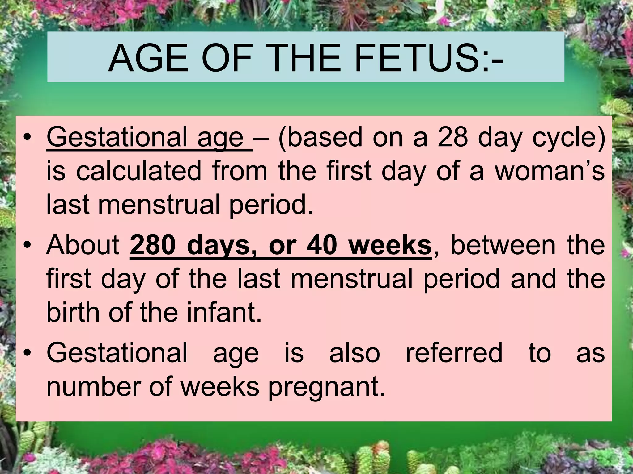 fetal development and fetal circulation | PPTX
