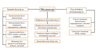 Сэрэмтгий эдийн физиологи | PPT