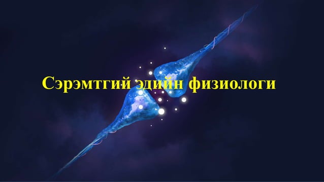 Сэрэмтгий эдийн физиологи | PPT