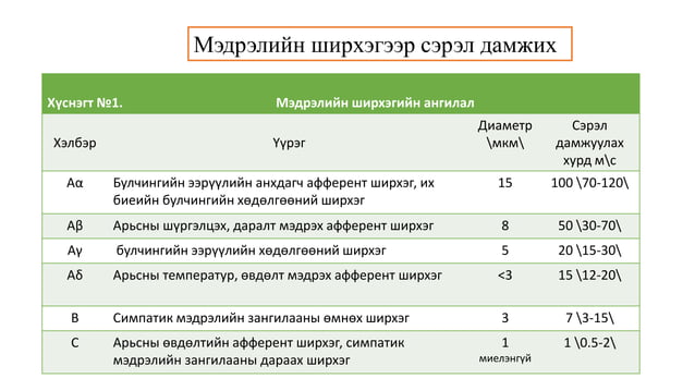 Сэрэмтгий эдийн физиологи