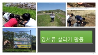 양서류 살리기 활동
10
 