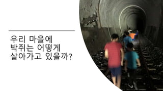 우리 마을에
박쥐는 어떻게
살아가고 있을까?
 