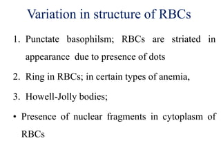 Stringy Rbcs 2. erythrocytes | PDF