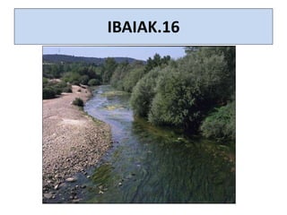 IBAIAK.16