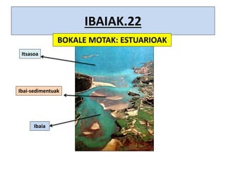 IBAIAK.22
BOKALE MOTAK: ESTUARIOAK
Ibaia
Itsasoa
Ibai-sedimentuak