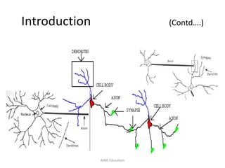 Introduction (Contd….)
AIMS Education
 