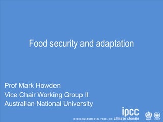 Food security and adaptation
Prof Mark Howden
Vice Chair Working Group II
Australian National University
 