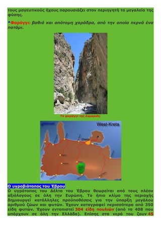 τους μαγευτικούς ήχους παρουσιάζει στον περιηγητή το μεγαλείο της
φύσης.
*Φαράγγι: βαθιά και απότομη χαράδρα, από την οποία περνά ένα
ποτάμι.
Το φαράγγι της Σαμαριάς.
Ο υγροβιότοπος του Έβρου
Ο υγρότοπος του Δέλτα του Έβρου θεωρείται από τους πλέον
αξιόλογους σε όλη την Ευρώπη. Το ήπιο κλίμα της περιοχής
δημιουργεί κατάλληλες προϋποθέσεις για την ύπαρξη μεγάλου
αριθμού ζώων και φυτών. Έχουν καταγραφεί περισσότερα από 350
είδη φυτών. Έχουν εντοπιστεί 304 είδη πουλιών (από τα 408 που
υπάρχουν σε όλη την Ελλάδα). Επίσης στα νερά του ζουν 45
 