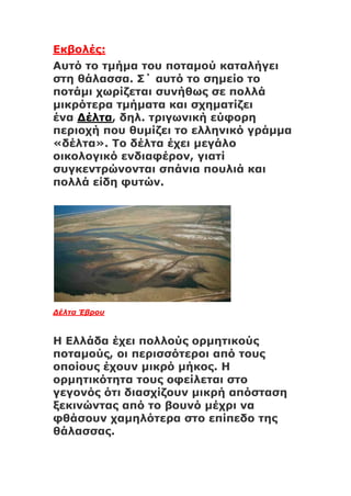 Εκβολές:
Αυτό το τμήμα του ποταμού καταλήγει
στη θάλασσα. Σ΄ αυτό το σημείο το
ποτάμι χωρίζεται συνήθως σε πολλά
μικρότερα τμήματα και σχηματίζει
ένα Δέλτα, δηλ. τριγωνική εύφορη
περιοχή που θυμίζει το ελληνικό γράμμα
«δέλτα». Το δέλτα έχει μεγάλο
οικολογικό ενδιαφέρον, γιατί
συγκεντρώνονται σπάνια πουλιά και
πολλά είδη φυτών.
Δέλτα Έβρου
Η Ελλάδα έχει πολλούς ορμητικούς
ποταμούς, οι περισσότεροι από τους
οποίους έχουν μικρό μήκος. Η
ορμητικότητα τους οφείλεται στο
γεγονός ότι διασχίζουν μικρή απόσταση
ξεκινώντας από το βουνό μέχρι να
φθάσουν χαμηλότερα στο επίπεδο της
θάλασσας.
 