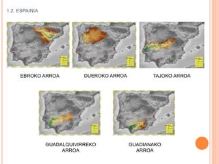 1.2. ESPAINIA
EBROKO ARROA DUEROKO ARROA TAJOKO ARROA
GUADALQUIVIRREKO
ARROA
GUADIANAKO
ARROA
 
