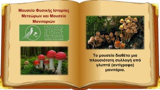 Μουσείο Φυσικής Ιστορίας
Μετεώρων και Μουσείο
Μανιταριών
Το μουσείο διαθέτει μια
πλουσιότατη συλλογή από
γλυπτά (αντίγραφα)
μανιτάρια.
 