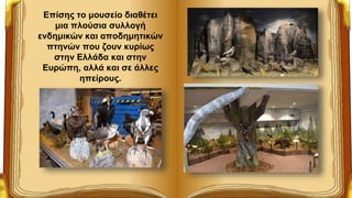 Επίσης το μουσείο διαθέτει
μια πλούσια συλλογή
ενδημικών και αποδημητικών
πτηνών που ζουν κυρίως
στην Ελλάδα και στην
Ευρώπη, αλλά και σε άλλες
ηπείρους.
 