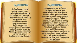 1η ΘΕΩΡΙΑ
Οι διαβρωσιγενείς
σχηματισμοί είναι
σκληρά κροκαλοπαγή
πετρώματα, τα οποία
απομονώνονται μετά τη
διάβρωση των
γειτονικών τους
ψαμμιτικών και
αργιλοαμμοδών
πετρωμάτων. Κατά την
άποψη λοιπόν αυτή, τα
Μετέωρα ανήκουν στην
κατηγορία των
διαβρωσιγενών βουνών.
2η ΘΕΩΡΙΑ
Σύμφωνα με τη δεύτερη
θεωρία πρόκειται για
δελτοειδή κώνο ποταμού, ο
οποίος όταν η πεδιάδα της
Θεσσαλίας ήταν ακόμη λίμνη,
μετέφερε άμμο, λάσπη,
κροκάλες, χαλίκια και άλλες
φερτές ύλες στην έξοδό του,
στην περιοχή των Μετεώρων.
Τα υλικά αυτά αργότερα
συγκολλήθηκαν και
σχημάτισαν κώνο, ο οποίος στη
συνέχεια, όταν αποσύρθηκαν
τα νερά, κατατμήθηκε σε
λόφους και βράχους διαφόρων
σχημάτων.
 