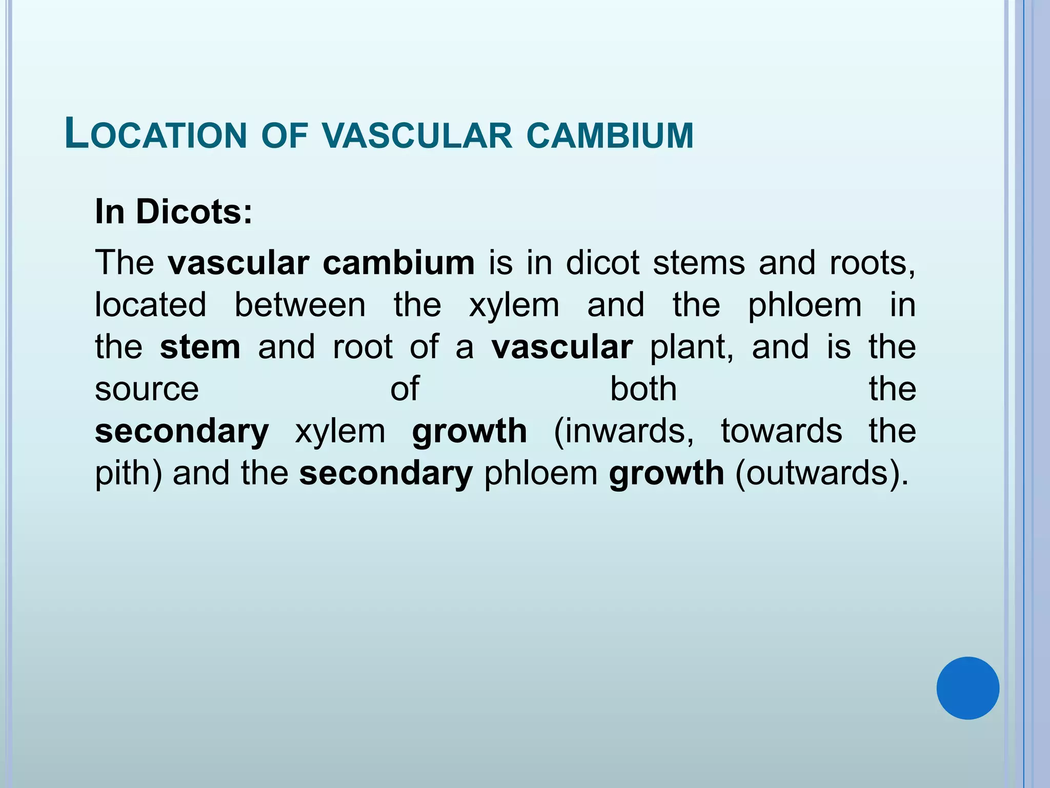 Vascular Cambium & Seasonal activity & its Role in Stem & Root