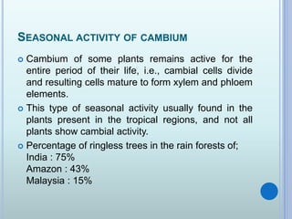 SEASONAL ACTIVITY OF CAMBIUM
 Cambium of some plants remains active for the
entire period of their life, i.e., cambial cells divide
and resulting cells mature to form xylem and phloem
elements.
 This type of seasonal activity usually found in the
plants present in the tropical regions, and not all
plants show cambial activity.
 Percentage of ringless trees in the rain forests of;
India : 75%
Amazon : 43%
Malaysia : 15%
 