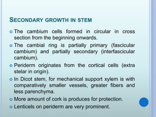 SECONDARY GROWTH IN STEM
 The cambium cells formed in circular in cross
section from the beginning onwards.
 The cambial ring is partially primary (fascicular
cambium) and partially secondary (interfascicular
cambium).
 Periderm originates from the cortical cells (extra
stelar in origin).
 In Dicot stem, for mechanical support xylem is with
comparatively smaller vessels, greater fibers and
less parenchyma.
 More amount of cork is produces for protection.
 Lenticels on periderm are very prominent.
 