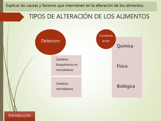 Principales Causas De Alteración De Los Alimentos – XHYY