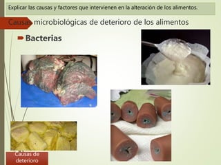 2. alteración de los alimentos 21042017 - copia | PPTX | Food Movements ...