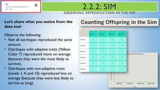 2.2.2: SIM
OBSERVING REPRODUCTION IN THE SIM
Let’s share what you notice from the
data tool
Observe the following:
• Not all ostrilopes reproduced the same
amount.
• Ostrilopes with adaptive traits (Yellow
Color 7) reproduced more on average
(because they were the most likely to
survive).
• Ostrilopes with non-adaptive traits
(Levels 1, 4, and 10) reproduced less on
average (because they were less likely to
survive as long).
 