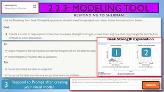 2.2.3: MODELING TOOL
RESPONDING TO SHERMAN
Respond to Prompt after creating
your visual model.
1 2
3
 