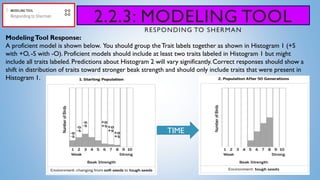 2.2.3: MODELING TOOL
RESPONDING TO SHERMAN
ModelingTool Response:
A proficient model is shown below. You should group theTrait labels together as shown in Histogram 1 (+S
with +O, -S with -O). Proficient models should include at least two traits labeled in Histogram 1 but might
include all traits labeled. Predictions about Histogram 2 will vary significantly. Correct responses should show a
shift in distribution of traits toward stronger beak strength and should only include traits that were present in
Histogram 1.
TIME
 