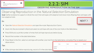 2.2.2: SIM
OBSERVING REPRODUCTION IN THE SIM
 