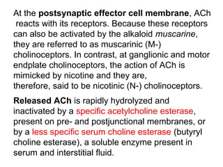 At the postsynaptic effector cell membrane, ACh
reacts with its receptors. Because these receptors
can also be activated by the alkaloid muscarine,
they are referred to as muscarinic (M-)
cholinoceptors. In contrast, at ganglionic and motor
endplate cholinoceptors, the action of ACh is
mimicked by nicotine and they are,
therefore, said to be nicotinic (N-) cholinoceptors.
Released ACh is rapidly hydrolyzed and
inactivated by a specific acetylcholine esterase,
present on pre- and postjunctional membranes, or
by a less specific serum choline esterase (butyryl
choline esterase), a soluble enzyme present in
serum and interstitial fluid.
 