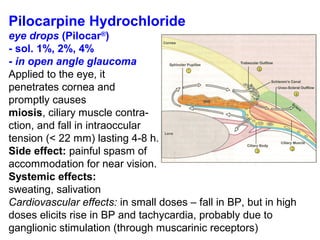 Pilocarpine Hydrochloride
eye drops (Pilocar®
)
- sol. 1%, 2%, 4%
- in open angle glаucoma
Applied to the eye, it
penetrates cornea and
promptly causes
miosis, ciliary muscle contra-
ction, and fall in intraoccular
tension (< 22 mm) lasting 4-8 h.
Side effect: painful spasm of
accommodation for near vision.
Systemic effects:
sweating, salivation
Cardiovascular effects: in small doses – fall in BP, but in high
doses elicits rise in BP and tachycardia, probably due to
ganglionic stimulation (through muscarinic receptors)
 