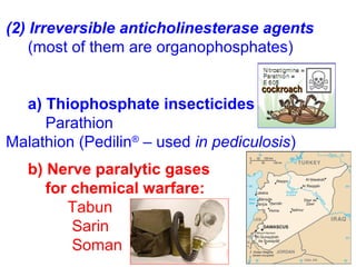 (2) Irreversible anticholinesterase agents
(most of them are organophosphates)
a) Thiophosphate insecticides
Parathion
Malathion (Pedilin®
– used in pediculosis)
b) Nerve paralytic gases
for chemical warfare:
Tabun
Sarin
Soman
cockroachcockroach
 