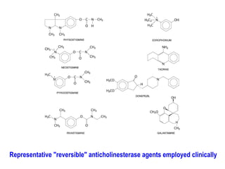 Representative "reversible" anticholinesterase agents employed clinically
 