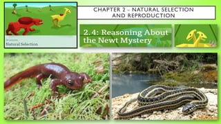 CHAPTER 2 – NATURAL SELECTION
AND REPRODUCTION
 