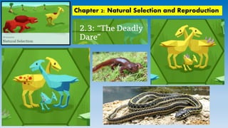 Chapter 2: Natural Selection and Reproduction
 
