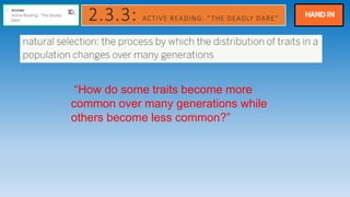 2.3.3: ACTIVE READING: “THE DEADLY DARE”
“How do some traits become more
common over many generations while
others become less common?”
 