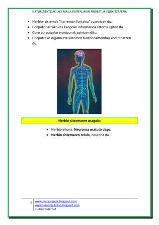 NATUR ZIENTZIAK LH 5 MAILA EGITEN JAKIN PROIEKTUA EGOKITZAPENA
www.margarigela.blogspot.com
www.laguntza3ziklo.blogspot.co...